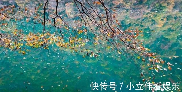 奶子沟|「黑水彩林」铅华洗尽，醉在深秋