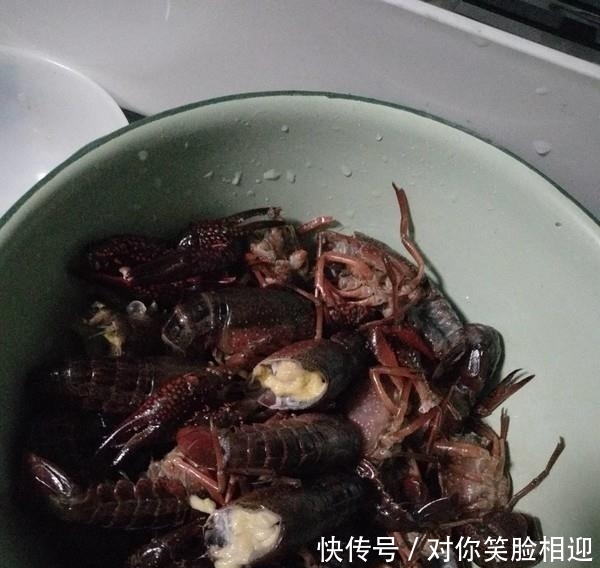 西兰花|“它”是史上最悲催的入侵物种,刚到中国,就被吃的连渣都不剩!