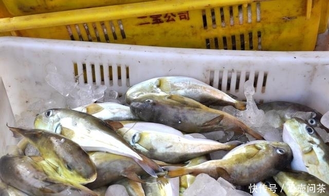 吃海鲜|吃本地海鲜最佳的地方,价格超级实惠品种多,几块钱一斤就能买到