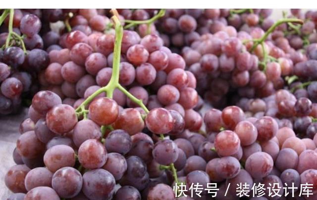 常吃|人到中年,推荐常吃3种食物,健胃消食,排毒护肤,改善睡眠