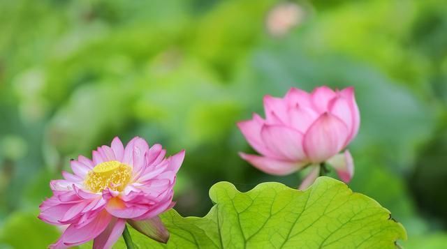 现实|这就是社会,这几句话说得太绝了,这就是现实