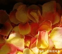 救济|当救济成为了理所当然