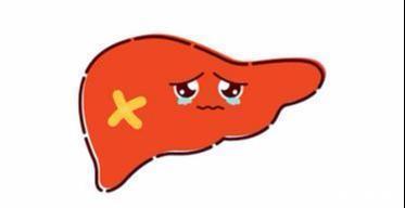 餐食|检查出脂肪肝，该怎么治记准这5点，慢慢消掉脂肪肝