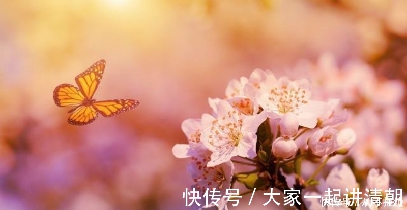 唐诗三百首|李商隐最令人绝望的一首诗,开篇就是千古名句,最后一句神来之笔