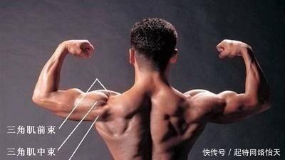 动作|有效刺激三角肌的运动, 决定身体宽度的部位, 先从三角肌入手