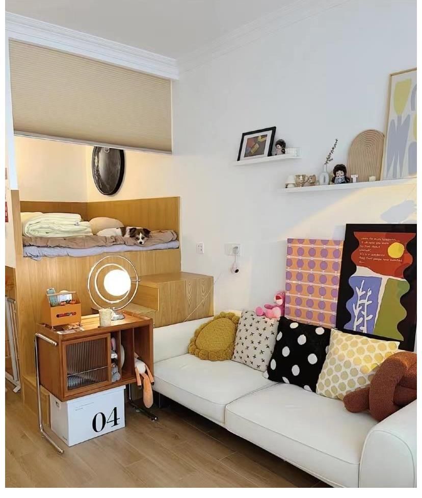 狗狗|30㎡小户型，客餐厨全都有，还有独立的狗狗房，1平米当2平米用