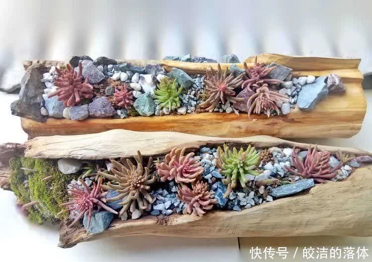 如莲似花,美好心情由你而始!