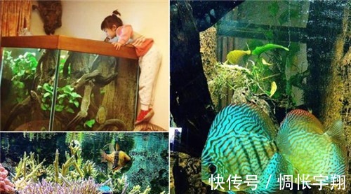 毕业|王昱珩清华毕业不上班,养个女儿不上学,把生活过成想要的样子