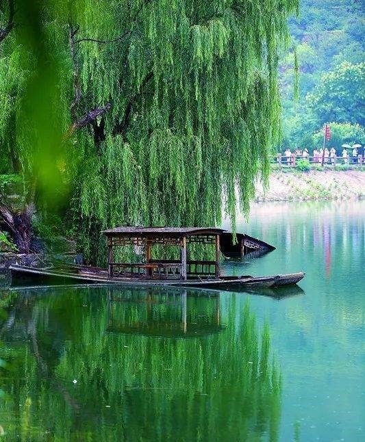 步行街|美翻!淄博还有这么一个“小而美”的地方,等你去发现!