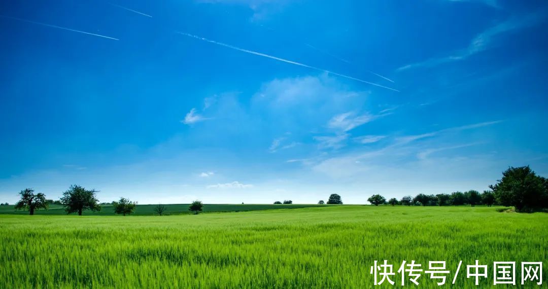 这一生&夜读 | 人这一辈子，最不能透支的是什么？