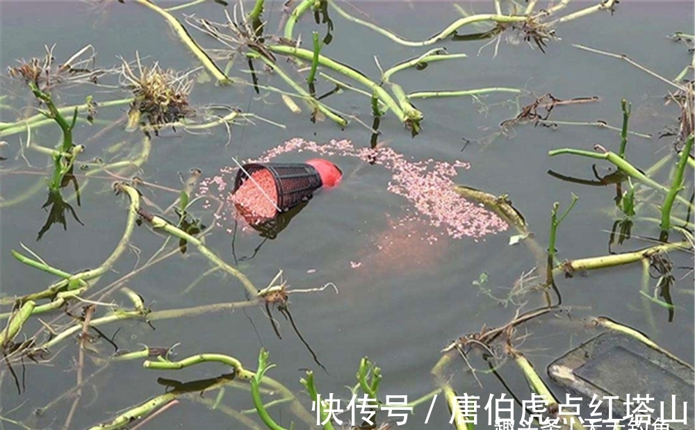 冬季钓鱼,这种钓法有5大优势,大板鲫一钓一个准,秒杀其他钓法