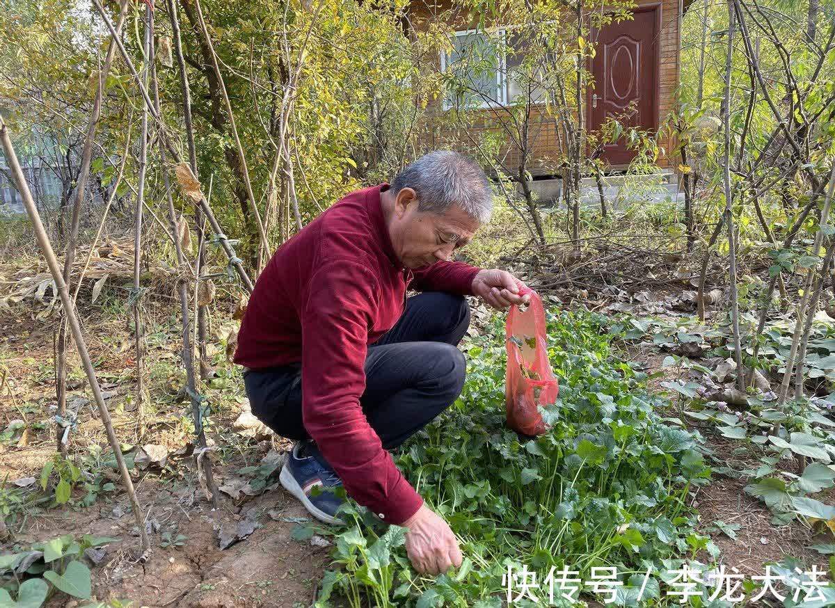 天赐|山东67岁老妇怀孕,儿女表示要断绝关系,2年后,老妇带娃直播