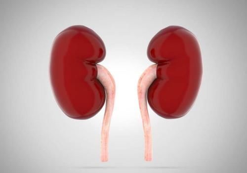 发黄|上厕所时尿液发黄，并伴有一股异味？医生建议注意下这6个方面