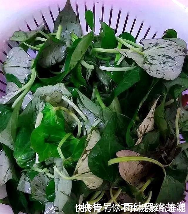 维生素它是天然“蔬菜皇后”，多给孩子吃，增强视力，身体少生病