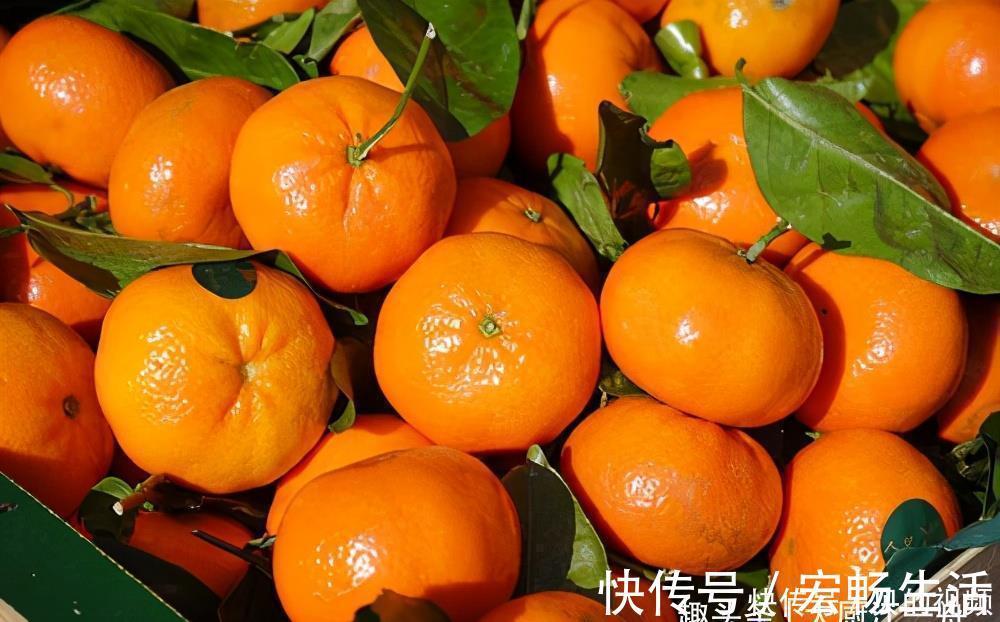 橘子皮别再扔掉了,用水一煮,没想到这么实用,看完涨知识