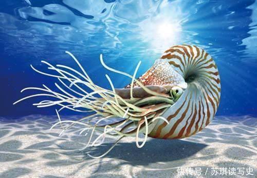 酒杯|古墓发掘诡异“酒杯”,酒怎么喝都喝不空,X光下专家才恍然大悟