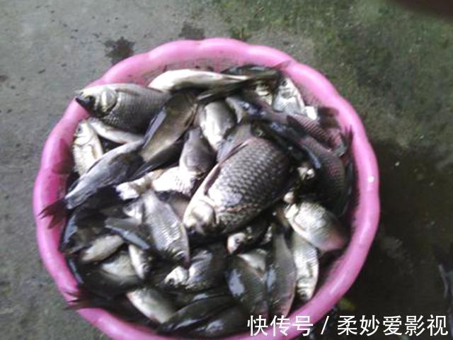 这类垂钓行为将被严厉打击,钓友要远离