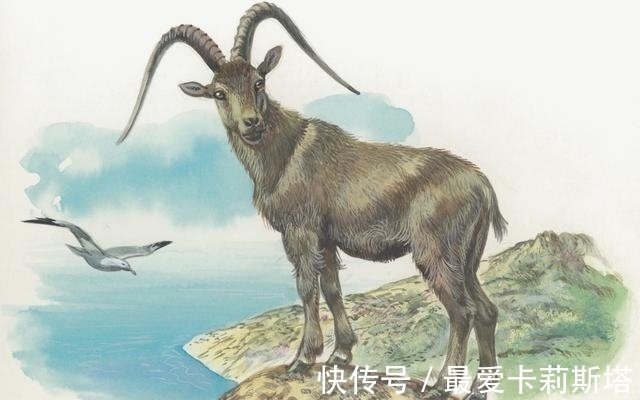 旺运|8月,苦尽甘至,4属相财神开路,旺运袭身,摇身变成富翁