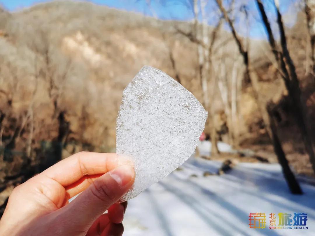 细“鼠”点滴:极不平凡的2020年,看完竟然默默流泪了!