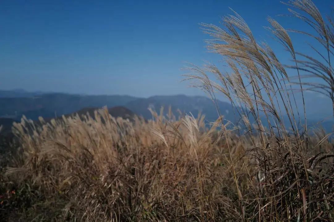 线路|登山好时节！余杭鸬鸟这些登山线路风景超美，赶快安排！