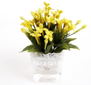 家中不适合养的花,或许你还不知道,学完教教家里人!