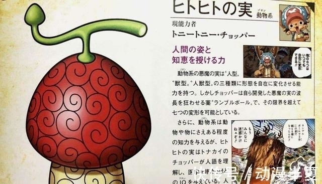 人人果实|草帽海贼团两大果实大曝光,难怪罗宾的是个宝,而乔巴的拿去喂狗