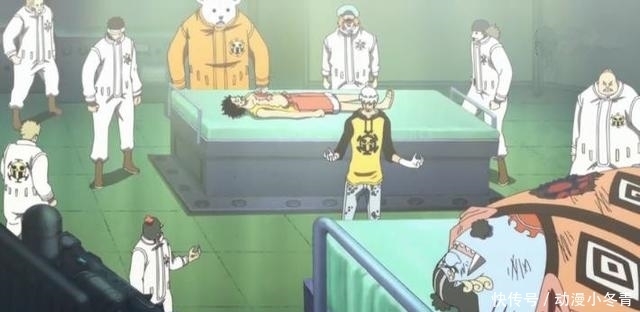 手术|海贼王:手术果实出现了新技能,罗第一次把恶魔果实用在了正途上