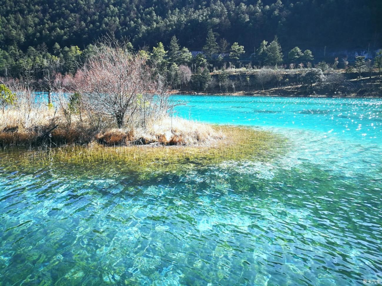 【探岳自驾】和探岳一起走进玉龙雪山