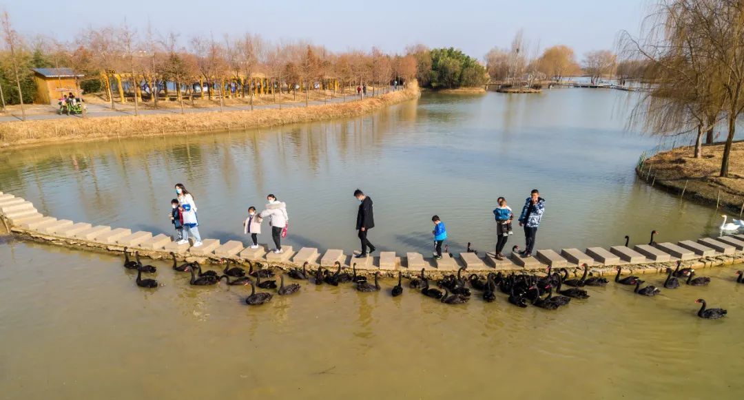 前海|就地过年同样欢乐 台儿庄古城花式玩法攻略请收好