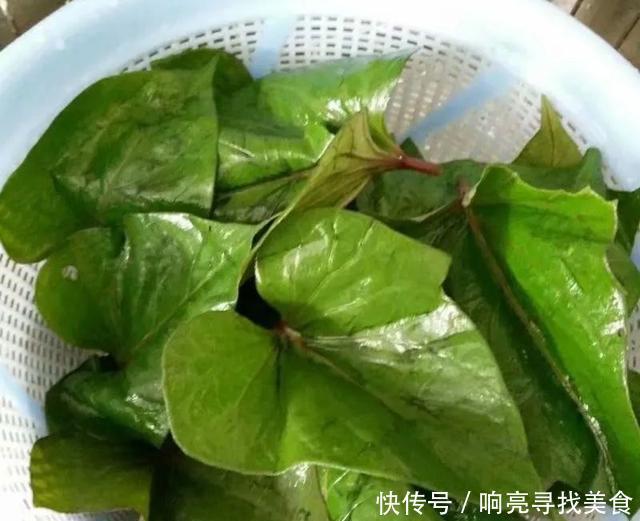 易学|告诉你一个红薯的新吃法,简单易学,超好吃!