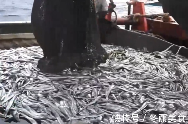 捕捞|原来带鱼是这样捕捞的，难怪每一条都“掉漆”了，真是长见识了