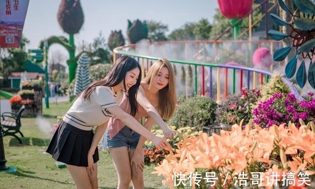 赏花|华东赏花好去处，荷兰花海百合花绽放，看《只有爱·戏剧幻城》