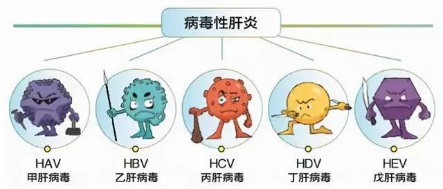 艾滋病病毒|【健康素养】身边的艾滋病和病毒性肝炎是如何传播的？