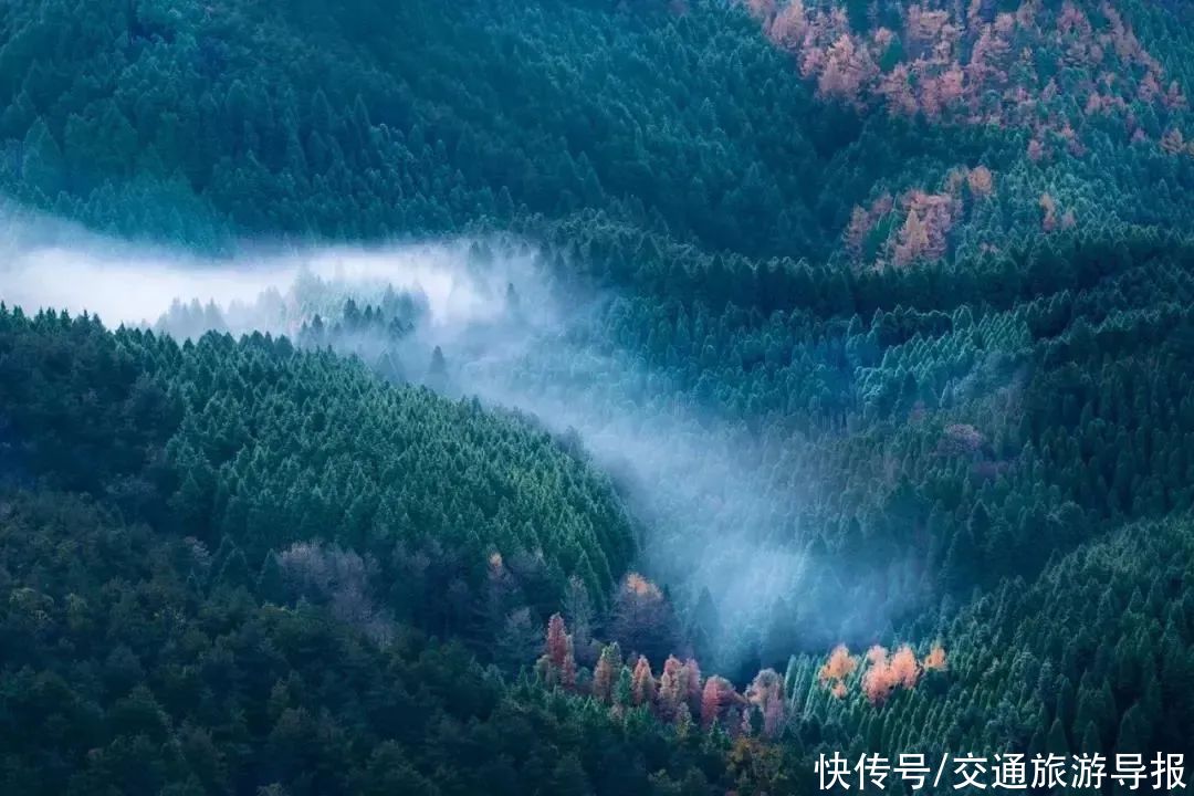 畲乡景宁：行在路上，别匆匆而过，这一路的风景，你留意过吗？