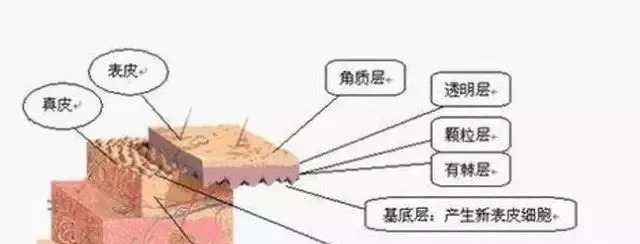 皮肤过敏|各种类型肌肤缺水的自我诊断及应对方法，你知道多少？