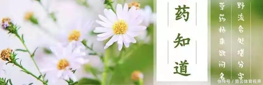 药知道 | 补肝肾、强筋骨,活血祛瘀通经的一味好药