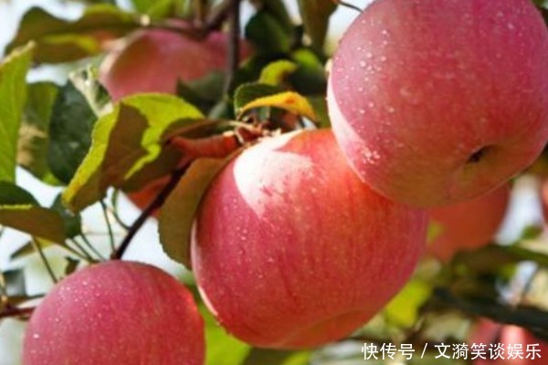 苹果尽量少吃,或者最好不吃,原因在这里,早知道早改正