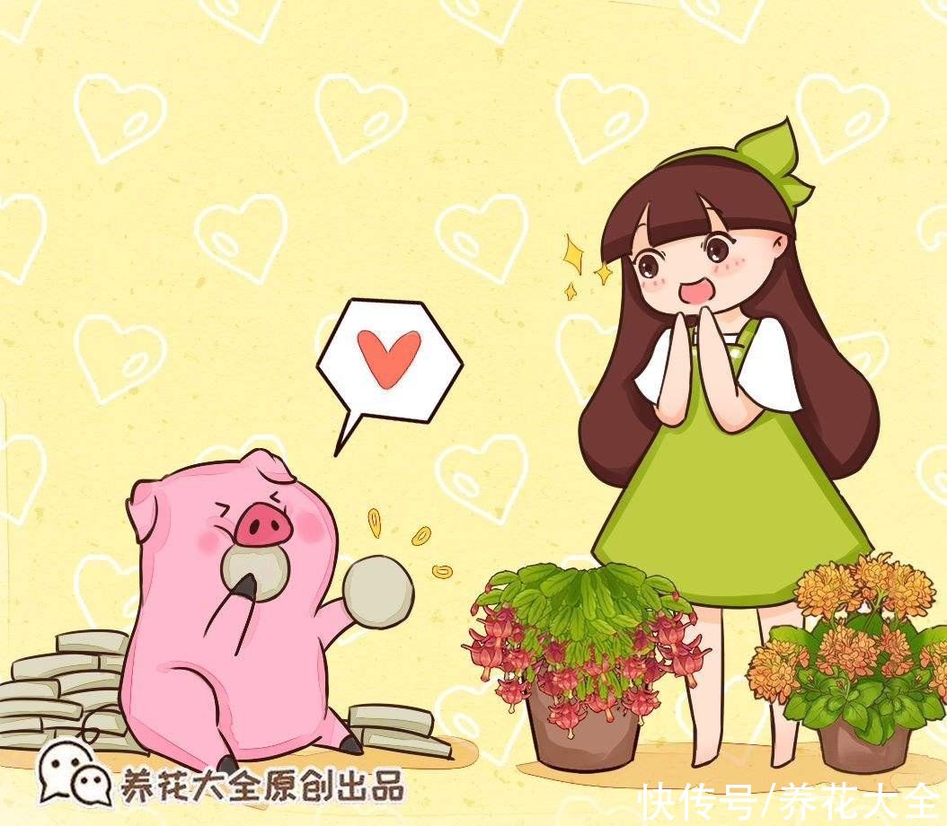 这5种动物粪便，居然是养花神器，越用花卉长得越旺