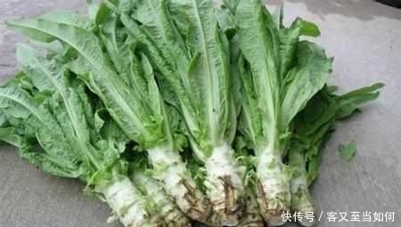 莴菜|莴笋很多人爱吃,但是莴笋的这个副作用,却很少人知道