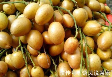 大家伙|晚上当零食吃几颗,一个月下来,消炎杀菌,止咳化痰,冬天不咳嗽