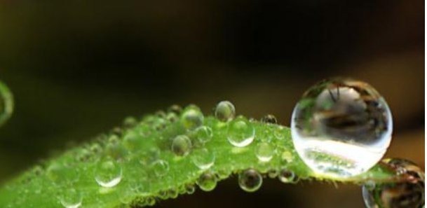 细水长流|一个家庭走向兴旺的4个征兆,你家若有一个,就要恭喜了