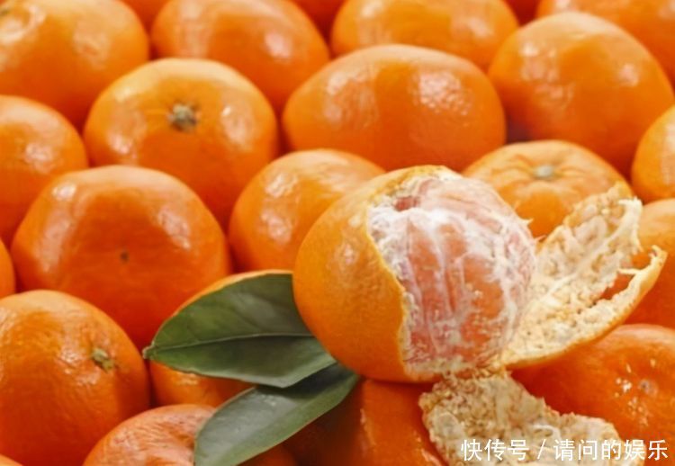 冬季养生得会吃,三种食物换着吃,清肝利胆,滋阴补肾,养颜减肥