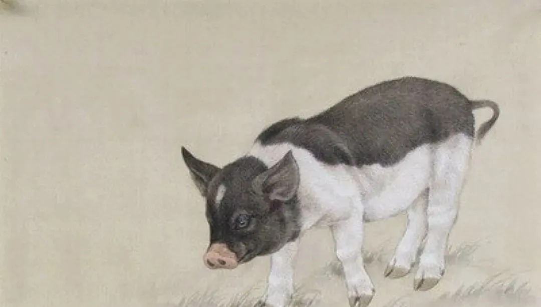 为啥|俗语“头鸡二狗、三猪四羊、五牛六马、七人八谷”,为啥这样说