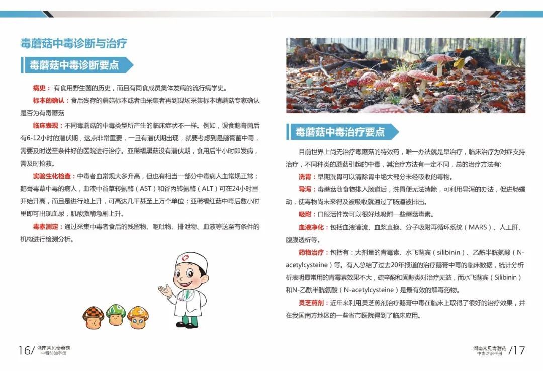 野生|所有人,邵阳市疾控中心最新提醒:勿采勿食不买不卖!