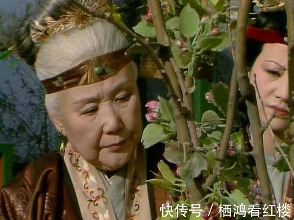 贾府|红楼梦中,贾府里最大的,是老太太还是贵妃娘娘?难道是王夫人?