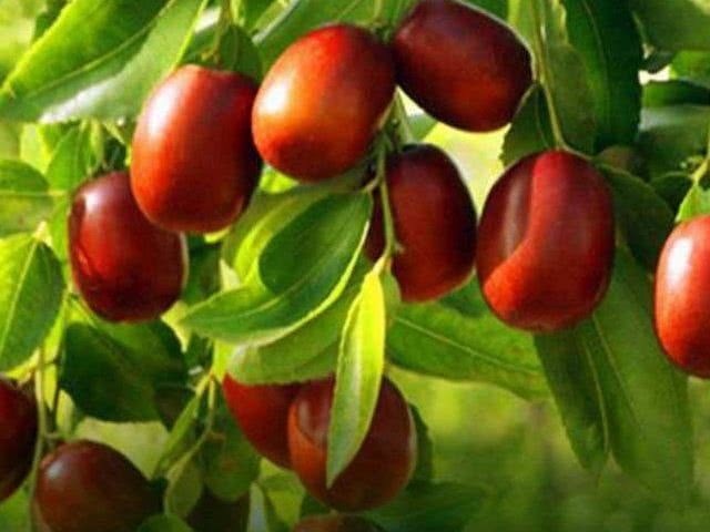 女人|女人再节俭，也不能不吃这3种“零食”，唤醒雌激素保护子宫！