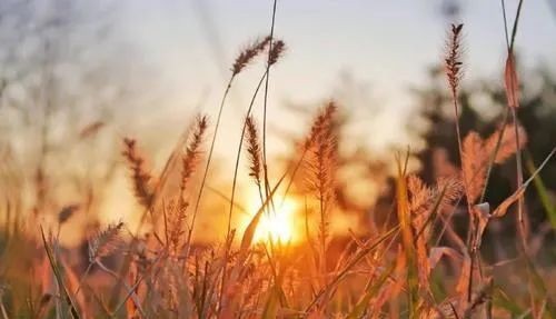 不知|谋事未成不可漏风,《易经》中4大说话智慧不可不知!