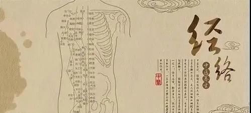 信号|经络堵百病生!揭秘冷热痛麻酸肿,不同信号,传递的不同身体隐患