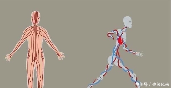 打通|中医总是说“三焦不通”,三焦到底是指什么如何打通三焦