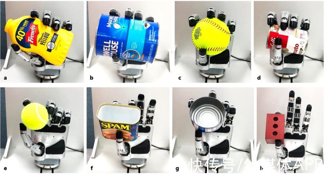 关节|轻松抓鸡蛋、剪纸、夹芯片，这只“机械爪”堪比人手